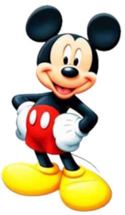 topolino 161x276